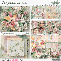 TROPICANA BUNDLE