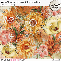 Won't You Be My Clementine [flower overlays] by Sekada Designs