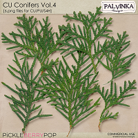 CU Conifers 4