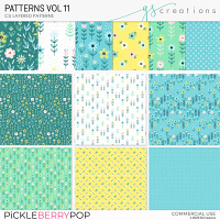 Patterns Vol11 (CU)