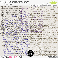 CU 0238 SCRIPT BRUSHES