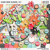 Bloom Grow Blossom | Kit