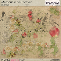 Memories Live Forever Overlays