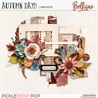 AUTUMN DAYS | elements by Bellisae