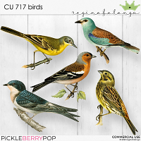 CU 717 BIRDS 