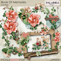 Book Of Memories Clusters