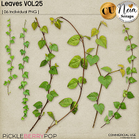 Leaves VOL25 - CU - by Neia Scraps