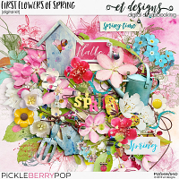 First Flowers of Spring Kit & Solids