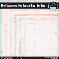 The Chronicles #2: Our Special Day | Borders