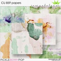 CU 859 PAPERS 