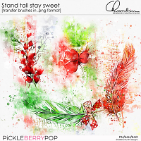 Stand tall stay sweet - transfer brushes 