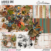 Harvest Time-Bundle by CarolW Designs