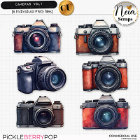 Cameras VOL1 - CU - by Neia Scraps