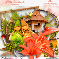 Little Miracle Elements by Indigo Designs 