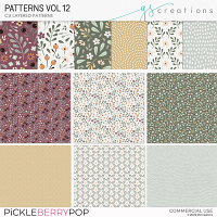 Patterns Vol12 (CU)