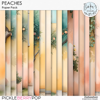 Peaches Paper Pack by Ilonka's Designs 