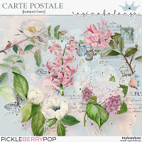 CARTE POSTALE COMPOSITIONS