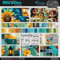 Everyday Miracles [Grab Bag] by Cindy Ritter & Manu Scraps