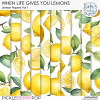 When Life Gives You Lemons Lemon Papers Vol 1 by Ilonka's Designs 