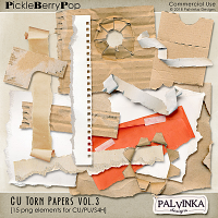 CU Torn Papers Vol.3