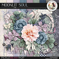 Moonlit Soul: Kit