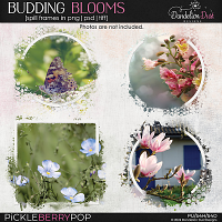 Budding Blooms: Spill Frames