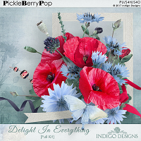 Delight In Everything Full Kit by Indigo Designs 