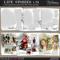 Life Stories Templates vol.24 December