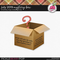 July 2019 Mystery Box