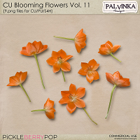 CU Blooming Flowers 11