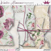 WINTER ROMANCE RIPPED PAPERS