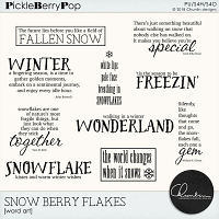 Snow berry flakes - word art