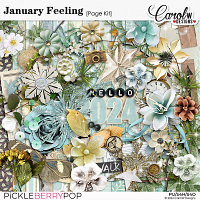 January Feeling-Page Kit