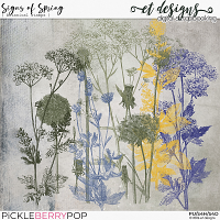 Signs of Spring Botanical Stamps by et designs