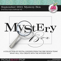 September 2021 Mystery Box