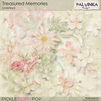 Treasured Memories Overlays