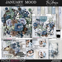 January Mood ~ Bundle by TirAmisu design 