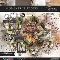 Moments That Stay by TirAmisu design 