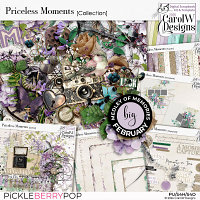 Priceless Moments Collection
