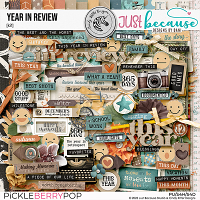 Year In Review Kit by JB Studio and Cindy Ritter