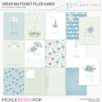 Dream Big Pocket Filler Cards (CU)