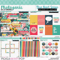 Photogenic Collection Bundle