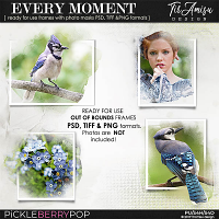 Every Moment ~ Out Of Bounds photo masks  by Tiramisu design 