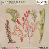 CU Vintage Sea Plants