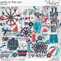 Party In The USA Itty Bits