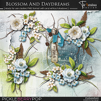 Blossom AndDaydreams ~ Ready For Use Clusters 