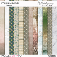 Timeless Journey Papers