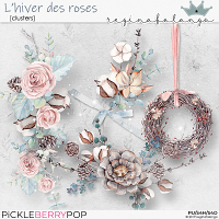 L'hiver des Roses Clusters 1