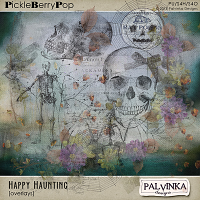 Happy Haunting Overlays