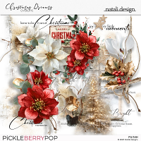 Christmas Dreams Overlays